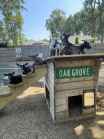 Alquiler Vacacional - Now BOOKING for 2024 and 2025! Check out our amazing guest reviews!