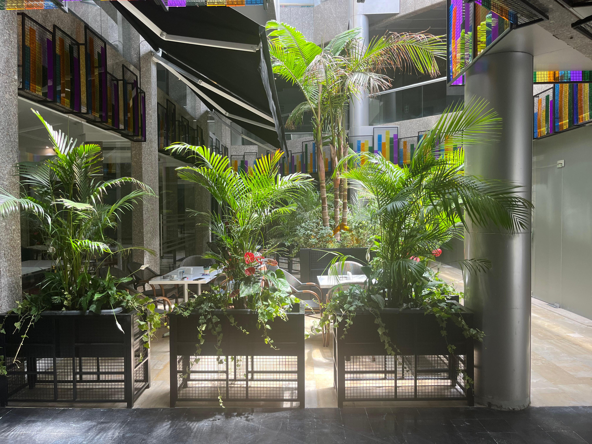 Vista Exterior El Sheikh Suites Hotel