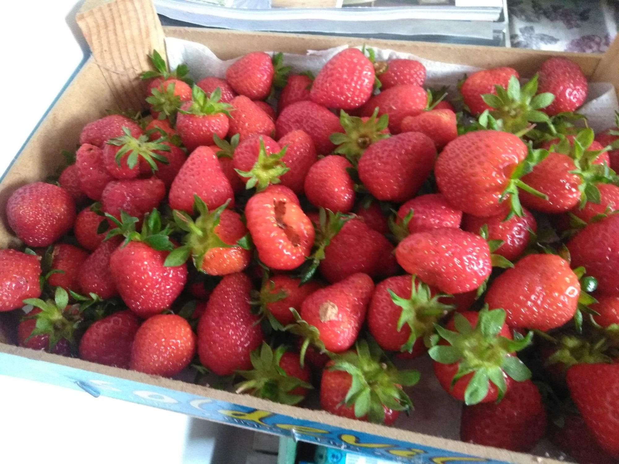 Restaurant B&B Ma Maison Govone