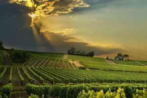 Alquiler Vacacional - Ancient, fully restored, 13th century medieval village house with garden & patio