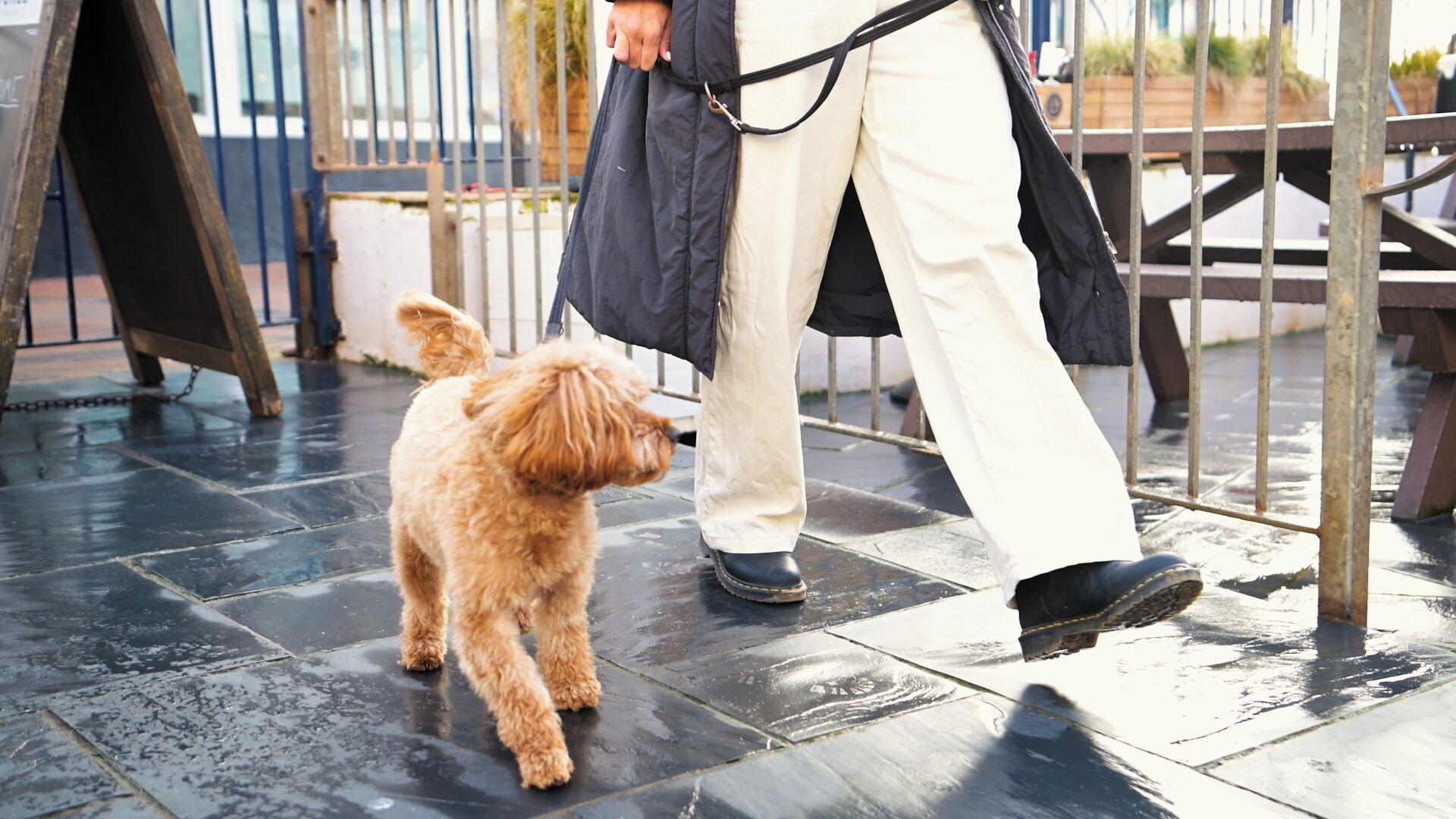 Vista Exterior Dukes