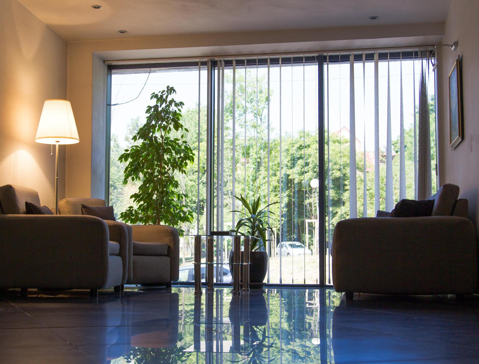 Vista Lobby Hotel Triada