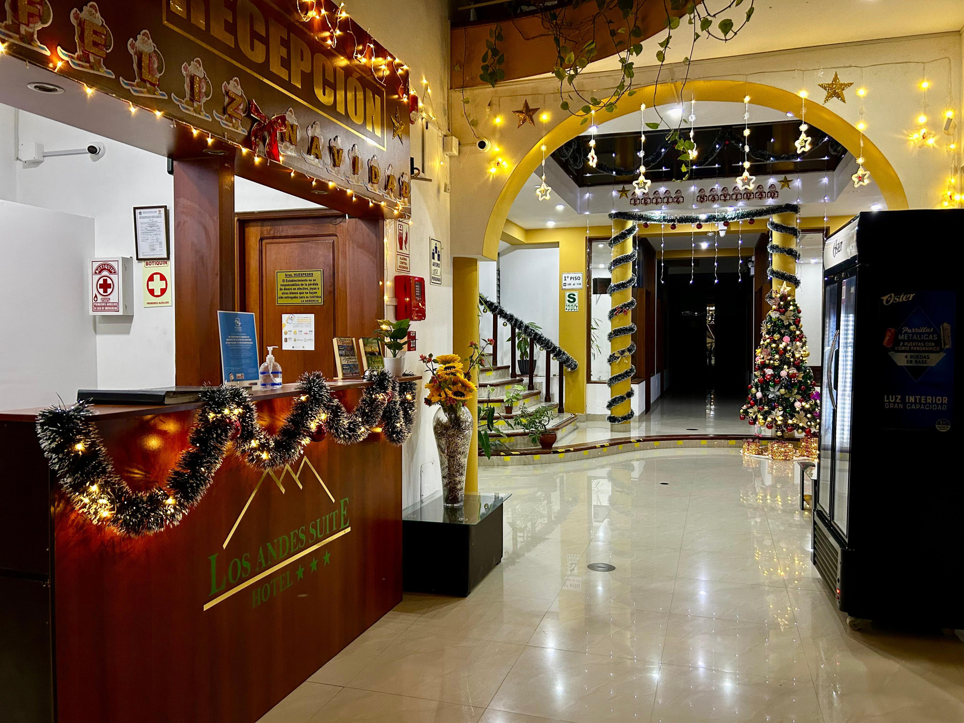 Vista Lobby Hotel Los Andes Suite