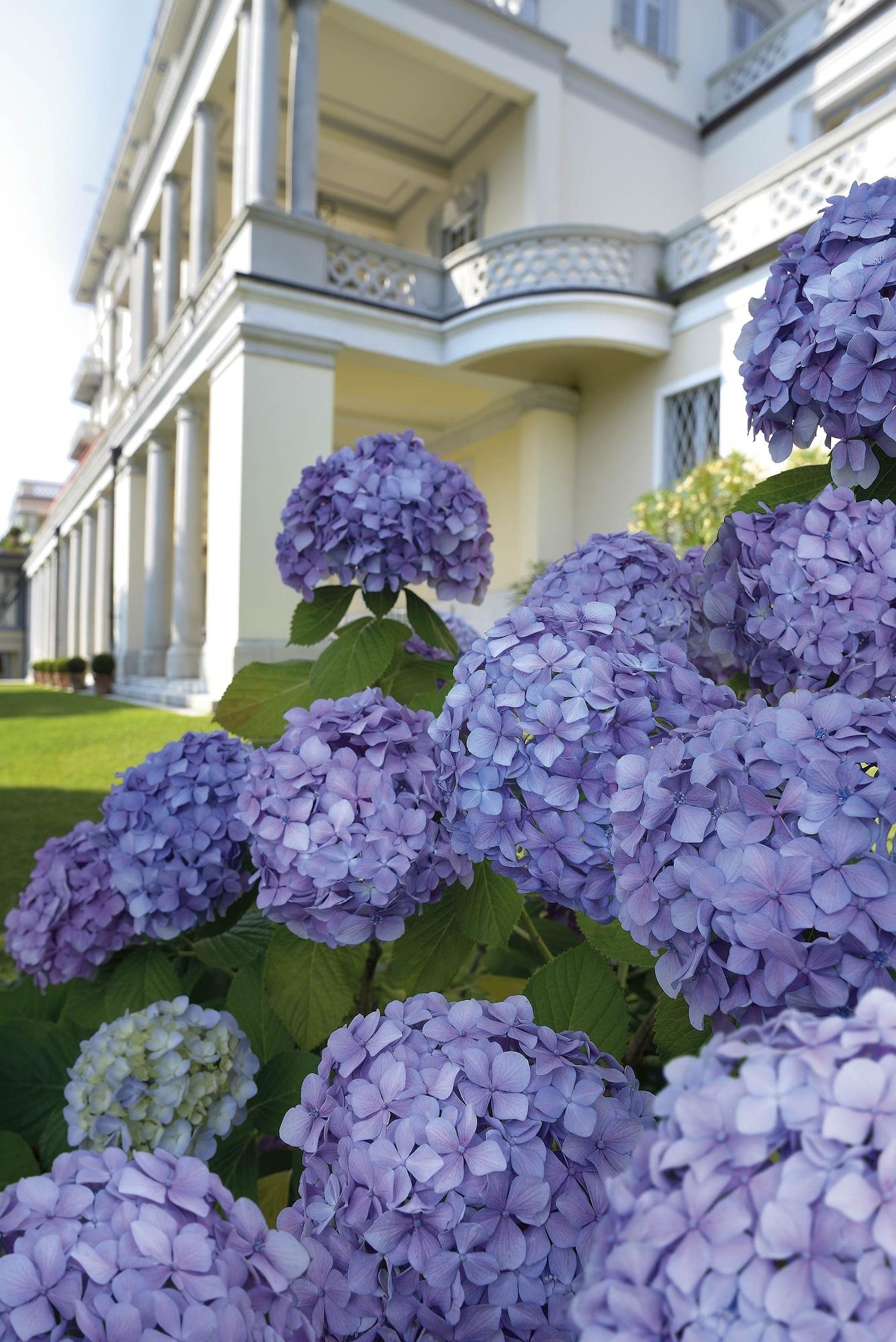 Vista Exterior Grand Hotel Majestic