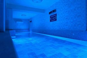 Alojamiento - Camber Inn Hotel
