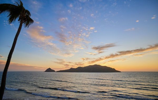 Courtyard By Marriott Mazatlan Beach Resort - Hoteles pet friendly en Mazatlán, Sinaloa