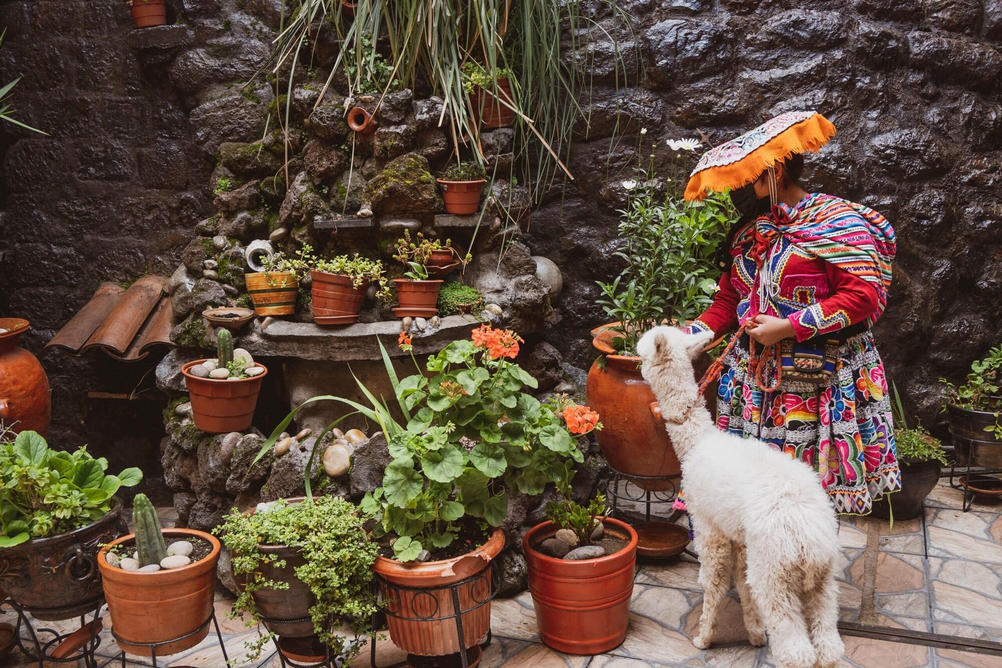 Comodidades del Alojamiento Hostal International House Cusco