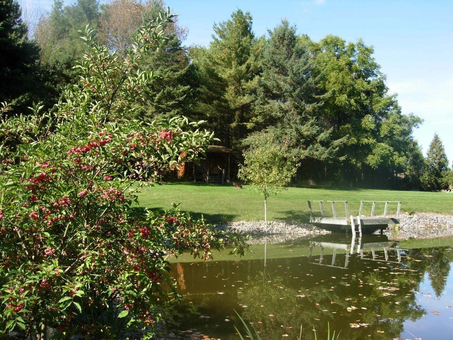 Comodidades del Alojamiento Koch Haus Bed & Breakfast