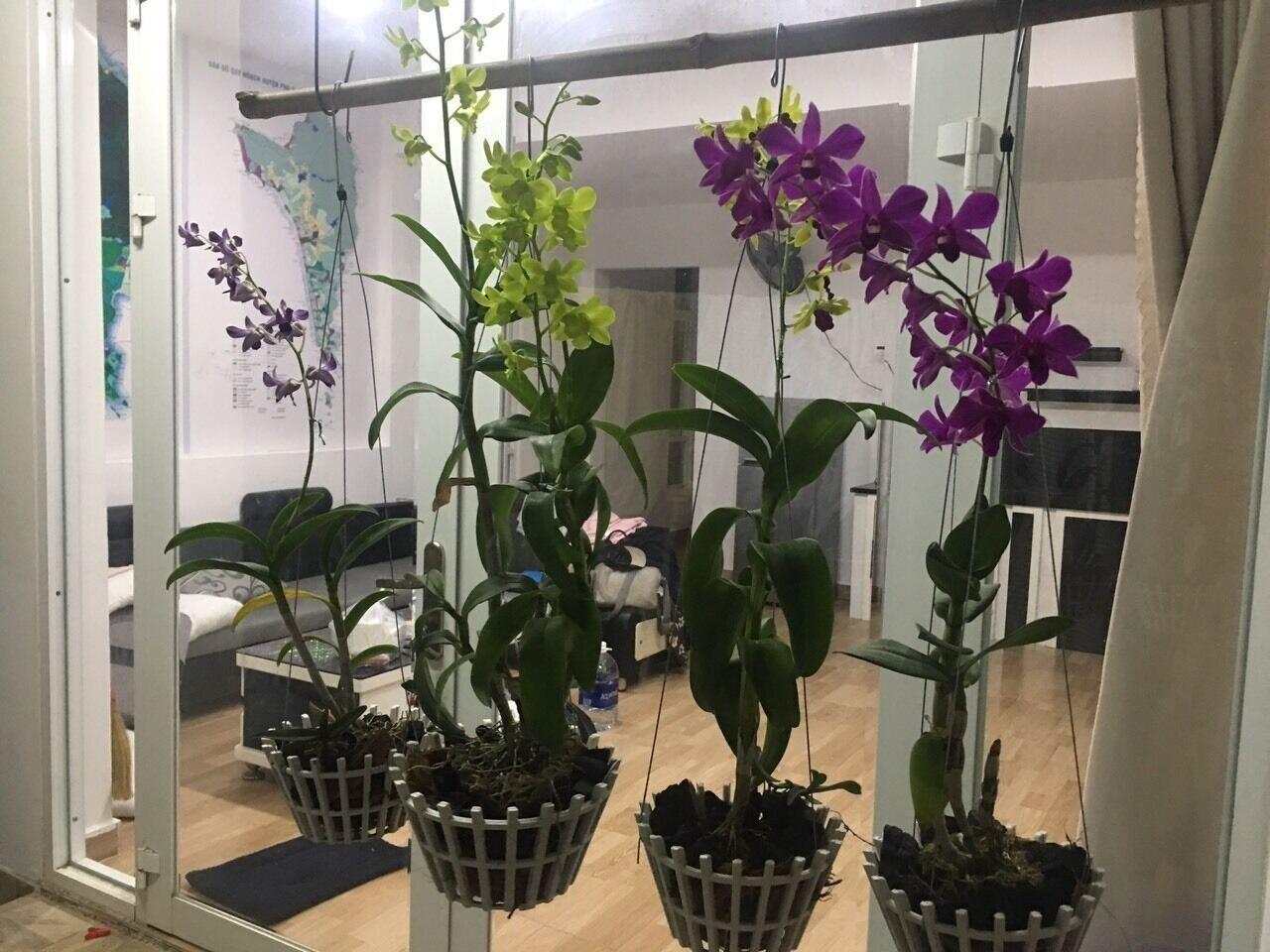 Equipamiento de Habitación Hoang Bao Vy Guesthouse