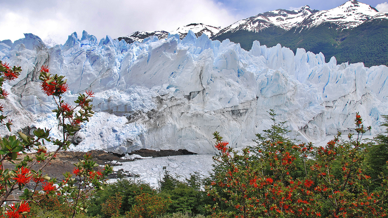 El Calafate