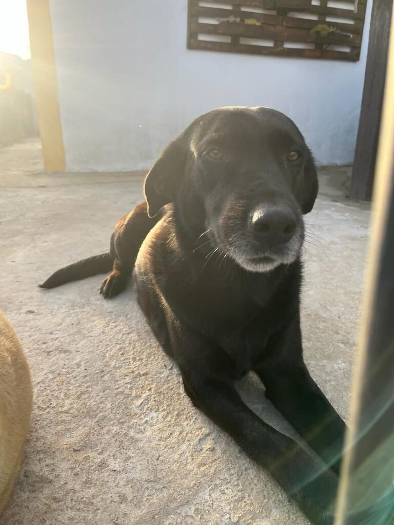 Equipamiento de Habitación Maravilhoso Hotel - MaHô