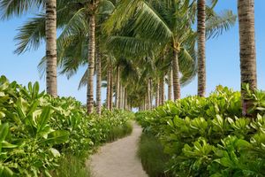 Alojamiento - The Riviera Maya EDITION At Kanai