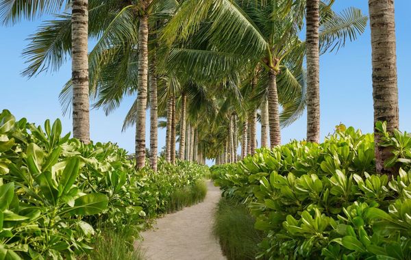 The Riviera Maya EDITION At Kanai - Hoteles en Playa del Carmen, México