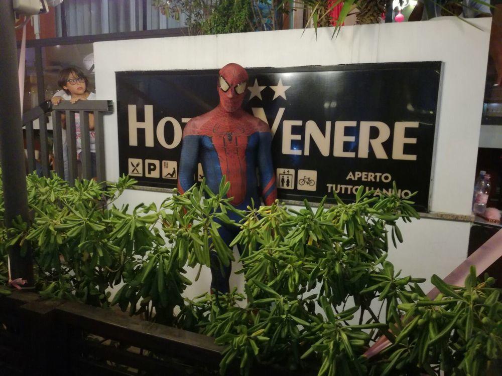 Instalaciones Recreativas Hotel Venere