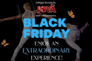Actividad - Cirque du Soleil JOYÀ - Playa del Carmen