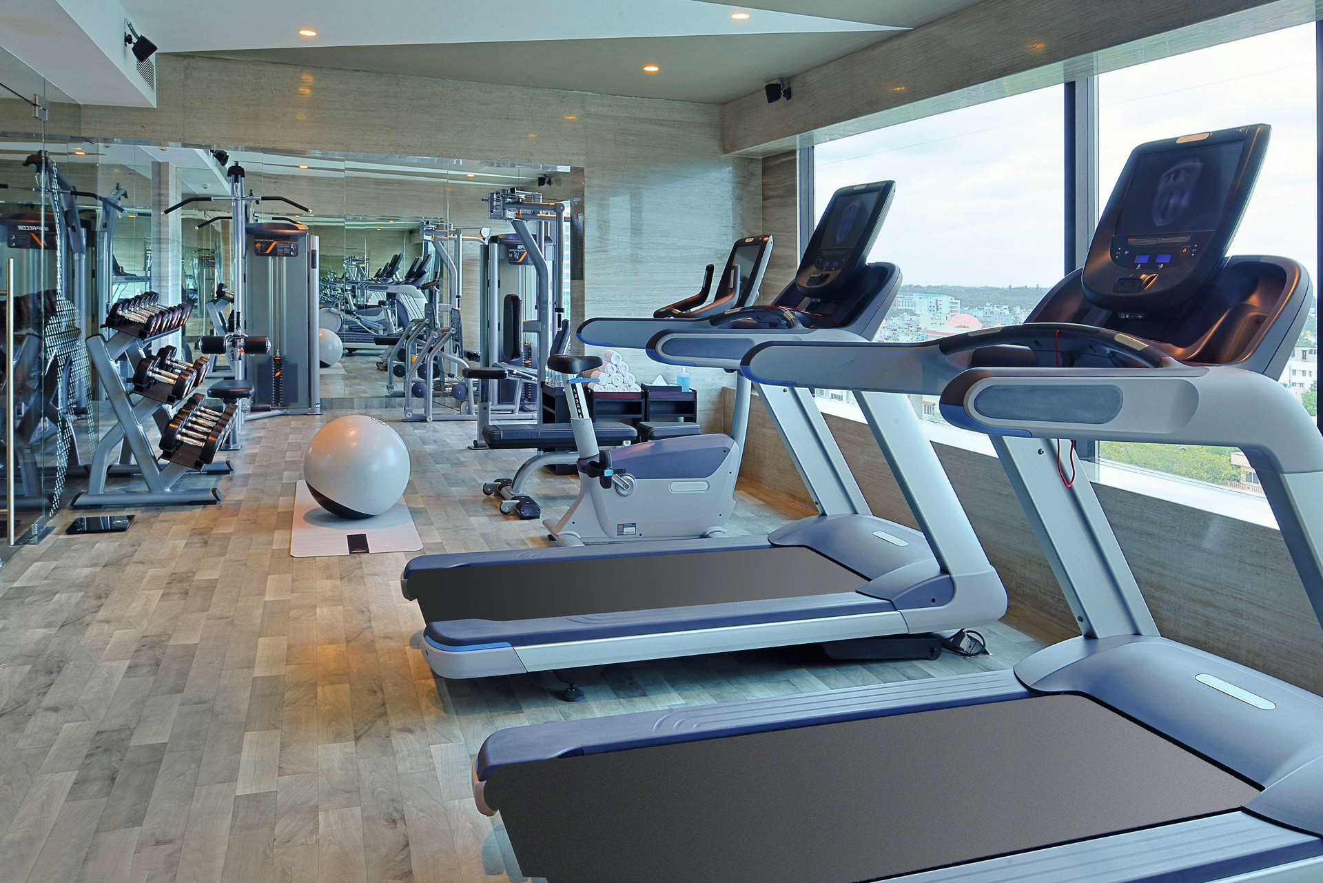 Instalaciones Recreativas Radisson Bengaluru City Center