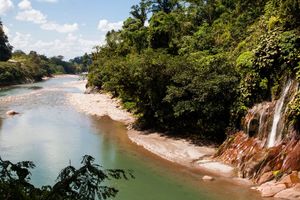 Actividad - Maravillas de la fauna: Reserva Alto Mayo de Tarapoto