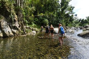 Actividad - Tour de El Yunque fuera del camino pavimentado