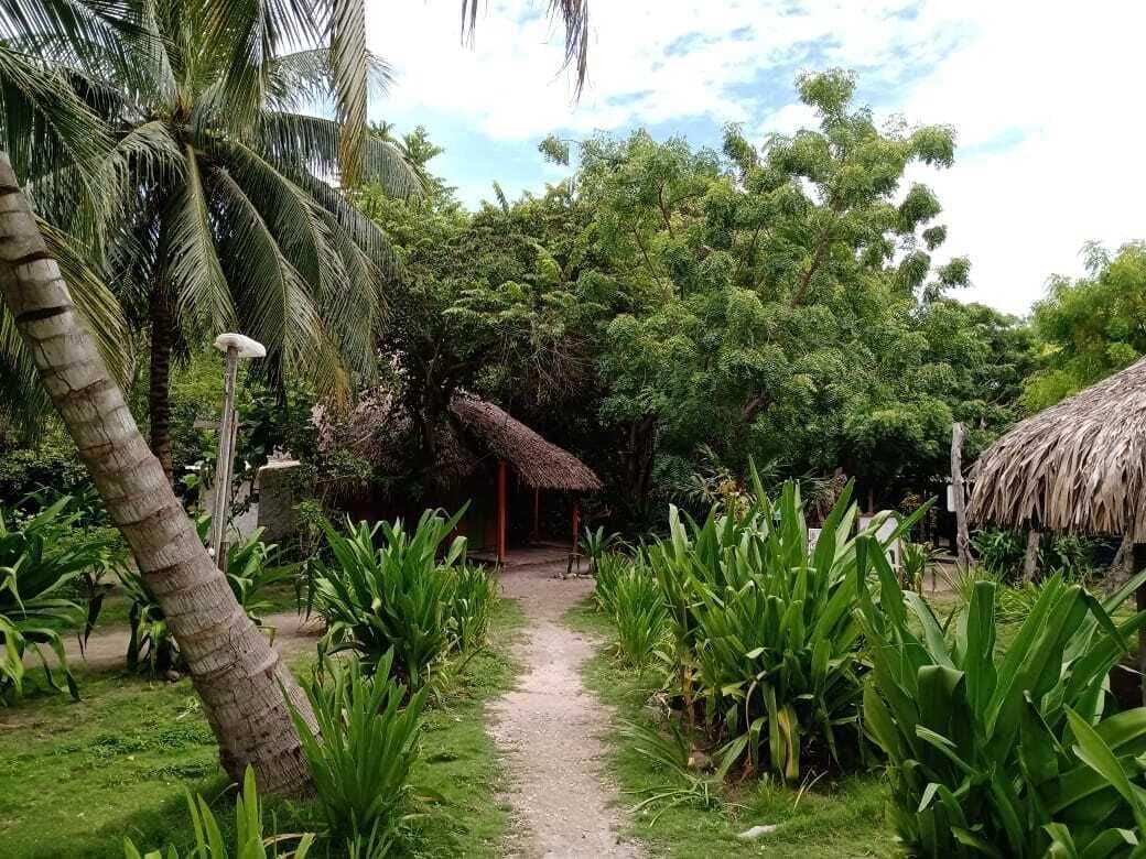 Vista Exterior Las Palmeras