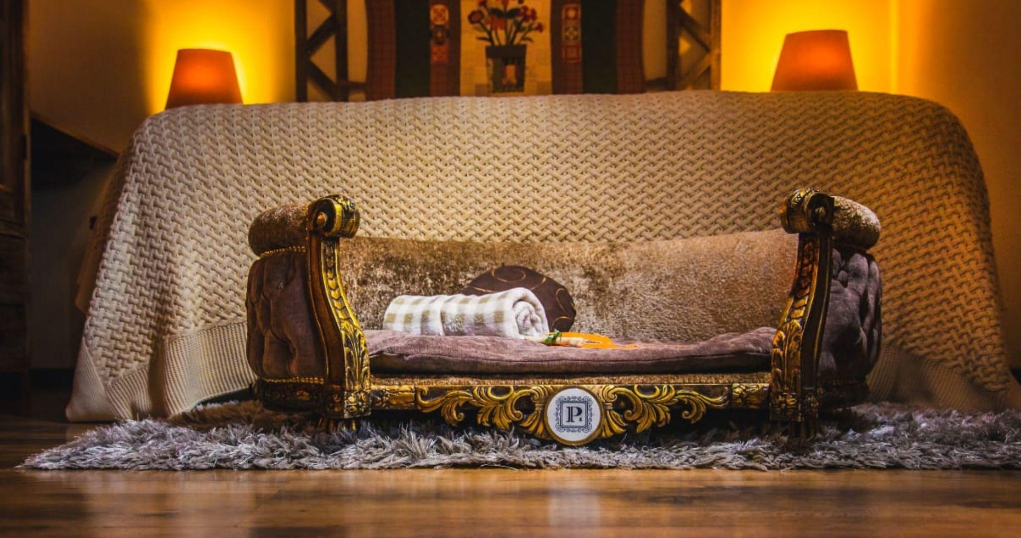 Pet friendly Hotel Petit Casa da Montanha