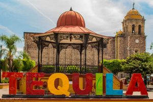 Actividad - Excursion un día a Tequila con destileria Artesal