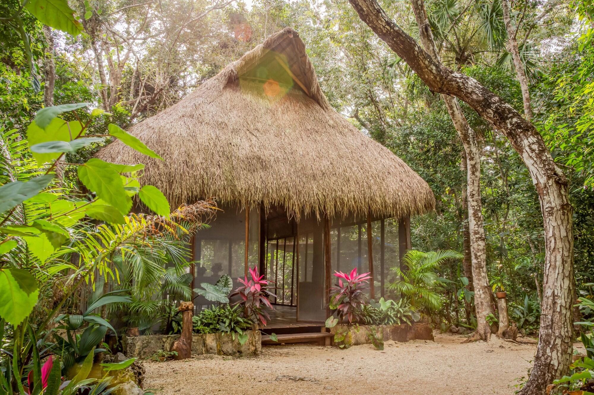 Gimnasio Madre Tierra Eco Habitat