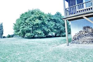 Alquiler Vacacional - Geraeumige Ferienwohnung in Boddin mit Garten