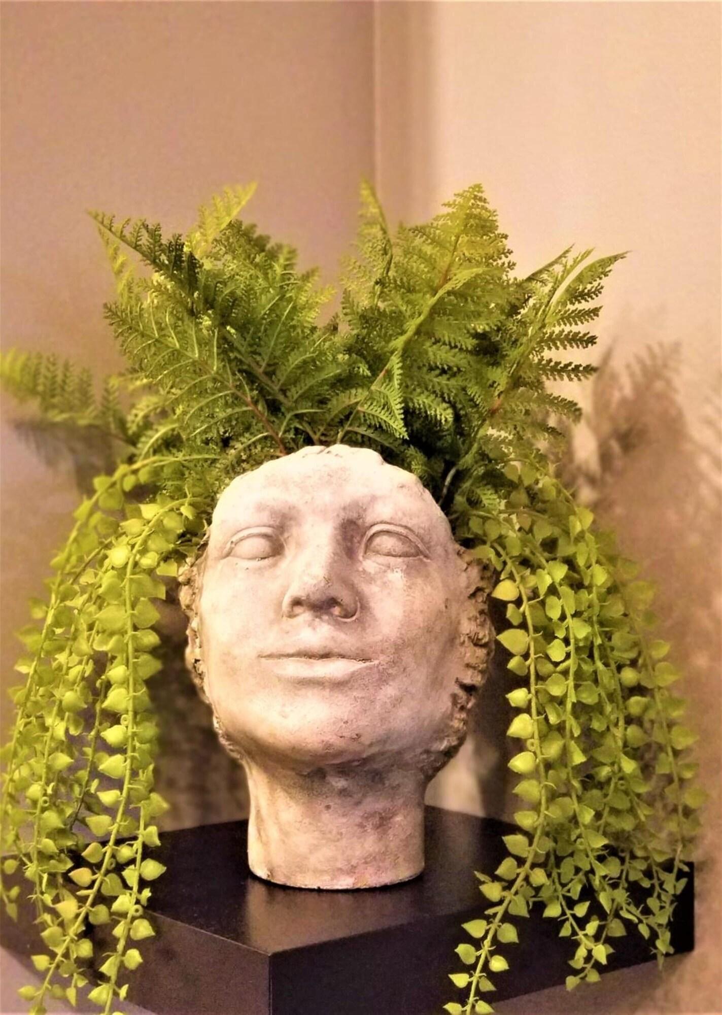 Comodidades del Alojamiento The Modern Spot