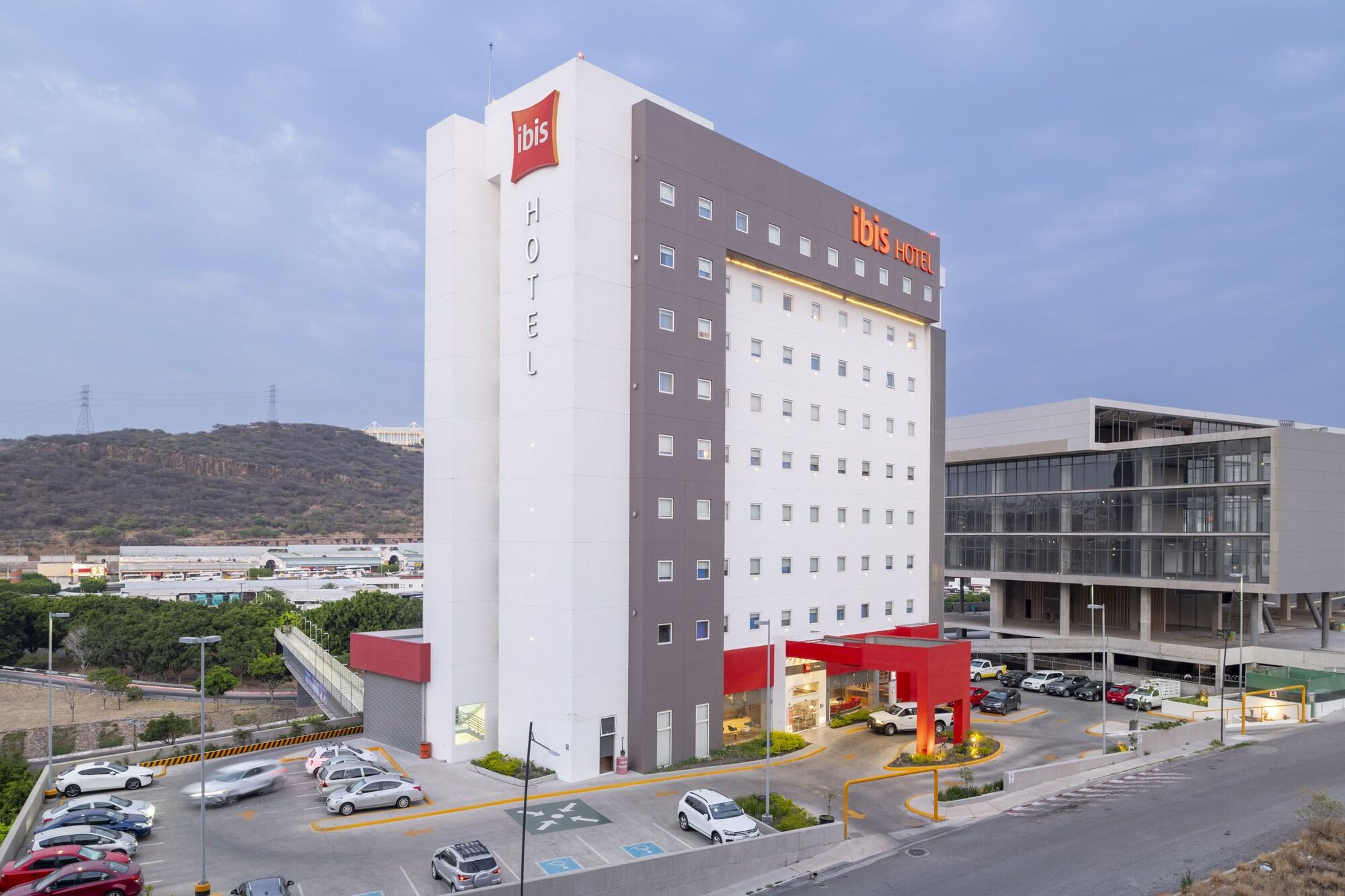 Varios ibis Queretaro