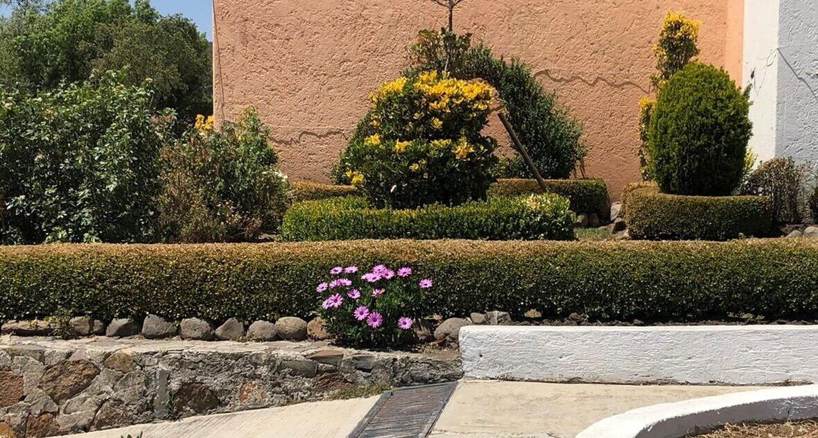 Vista Lobby Finca San Fernando