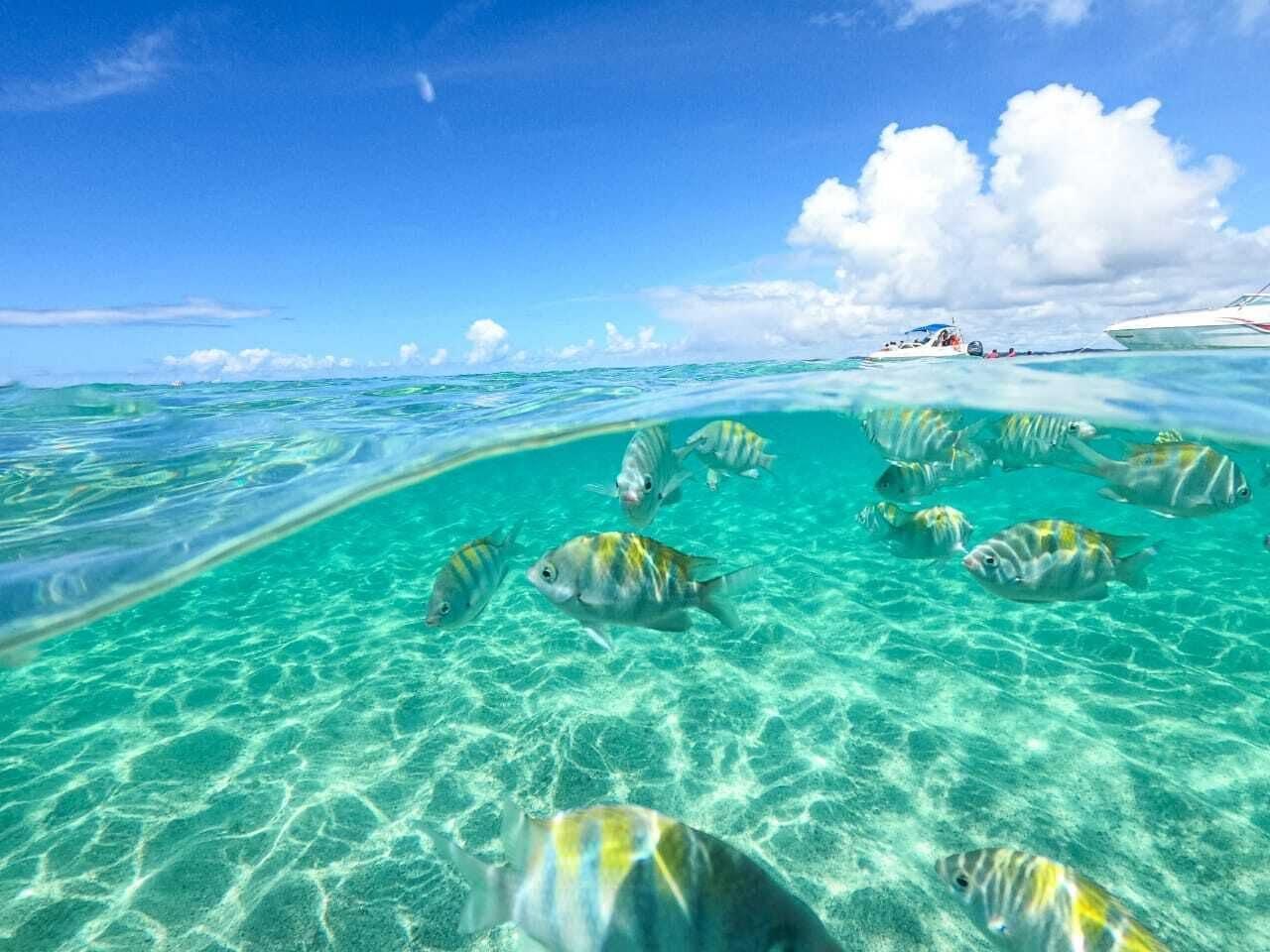 Playa Cabanos Suites