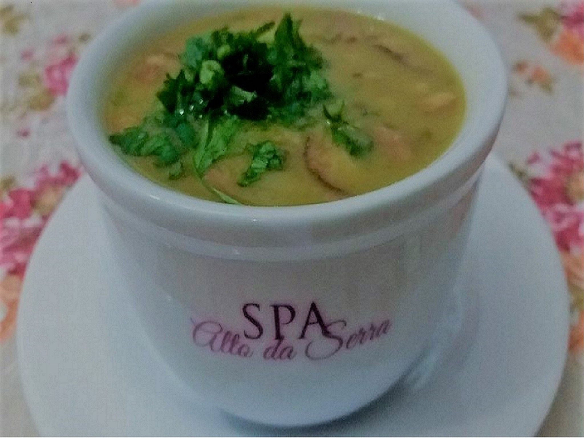 Restaurant Pousada Spa Alto da Serra