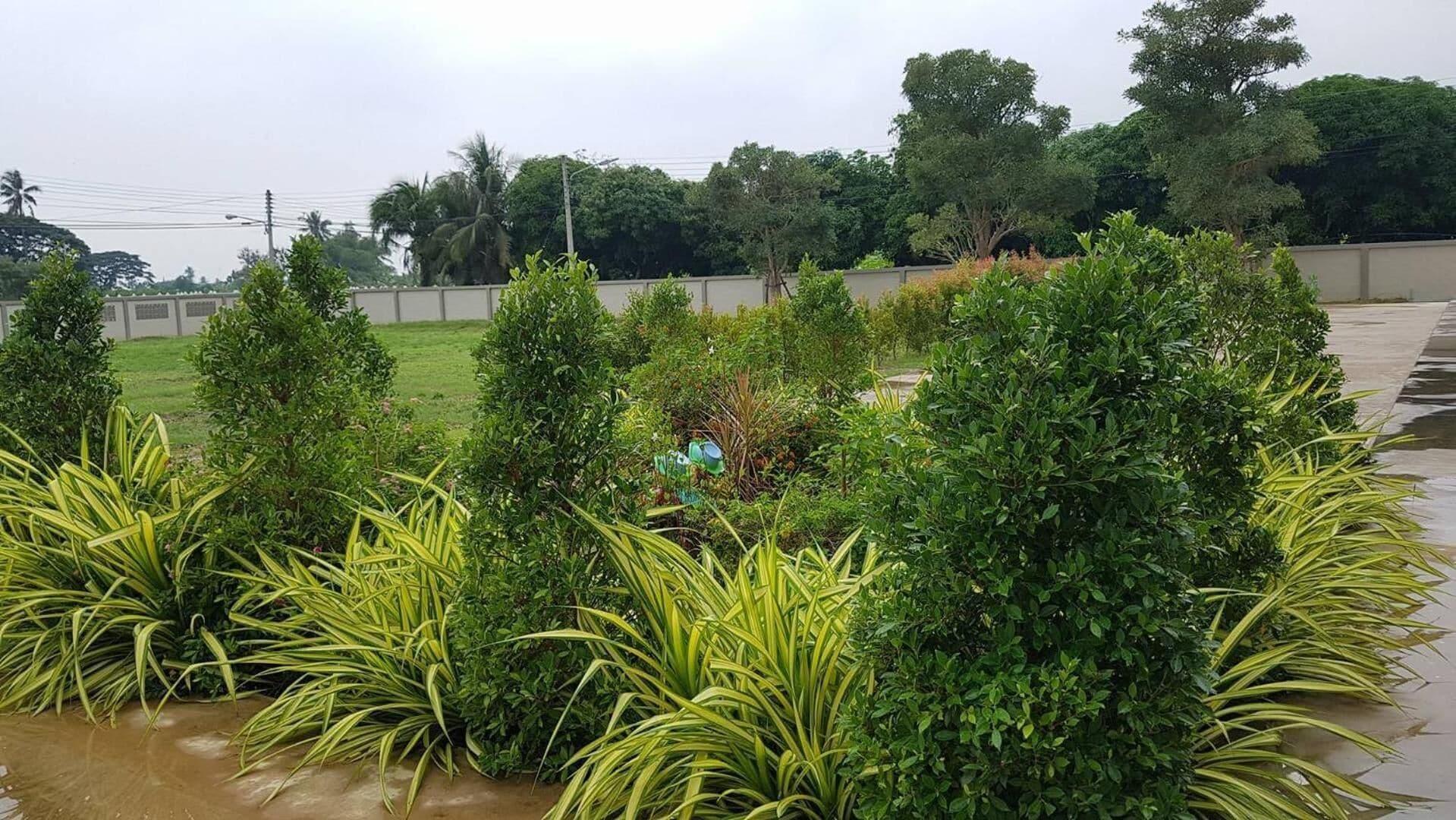 Comodidades del Alojamiento Wattana House