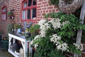 Alojamiento - B7 Selfkant Bed & Breakfast