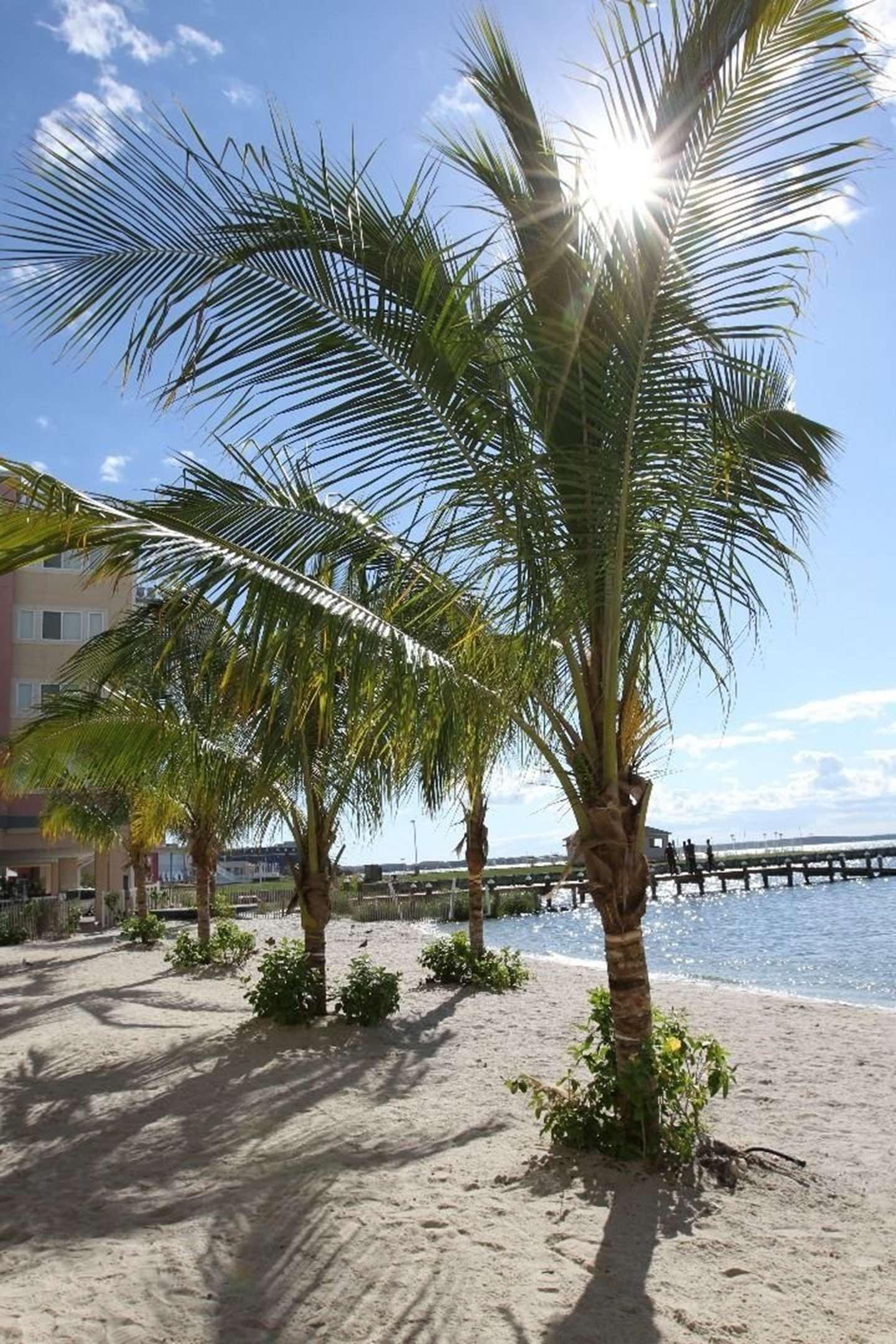 Playa Princess Bayside Beach Hotel
