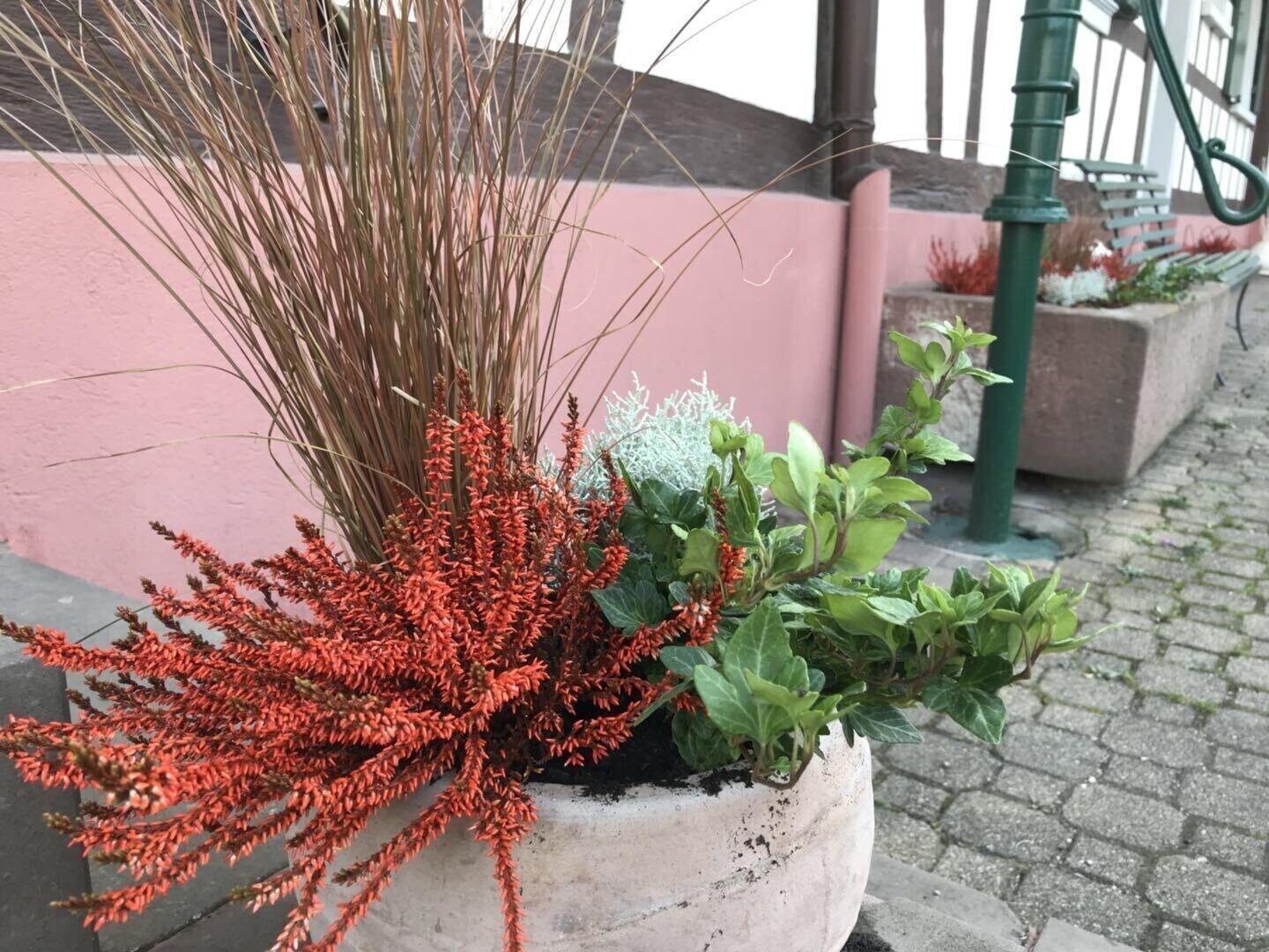 Vista Exterior Appartement aux Deux Cigognes