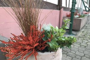 Alojamiento - Appartement aux Deux Cigognes