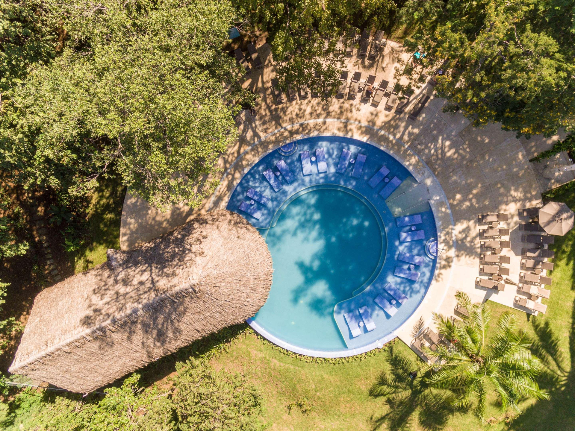 Vista Piscina Occidental Papagayo - Adults Only - All inclusive