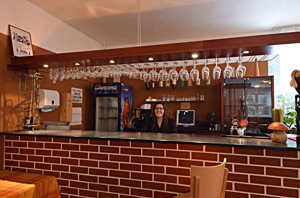 Bar/Salón SkiHotel Lenka