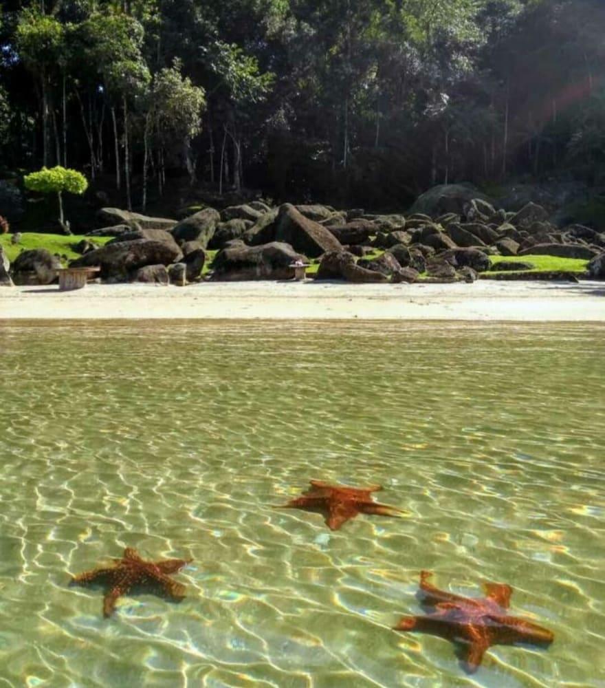 Playa Vale do Pontal Pousada