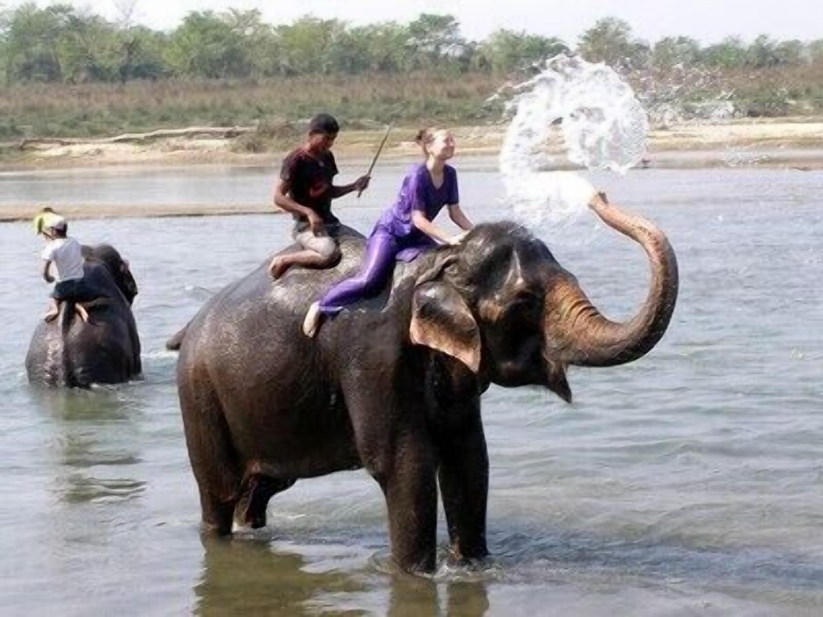 Varios Chitwan Forest Resort