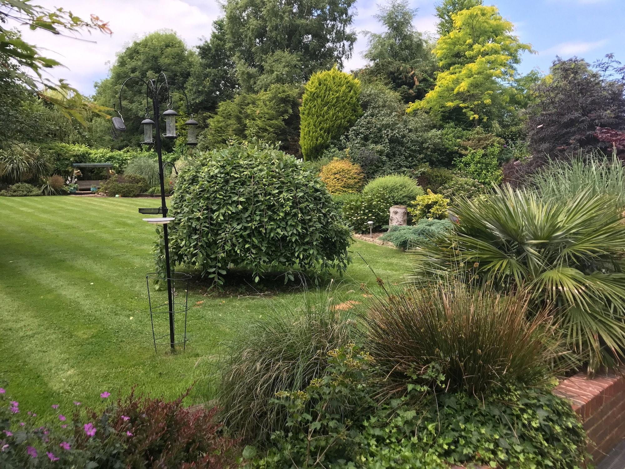 Comodidades del Alojamiento Beechwood B&B