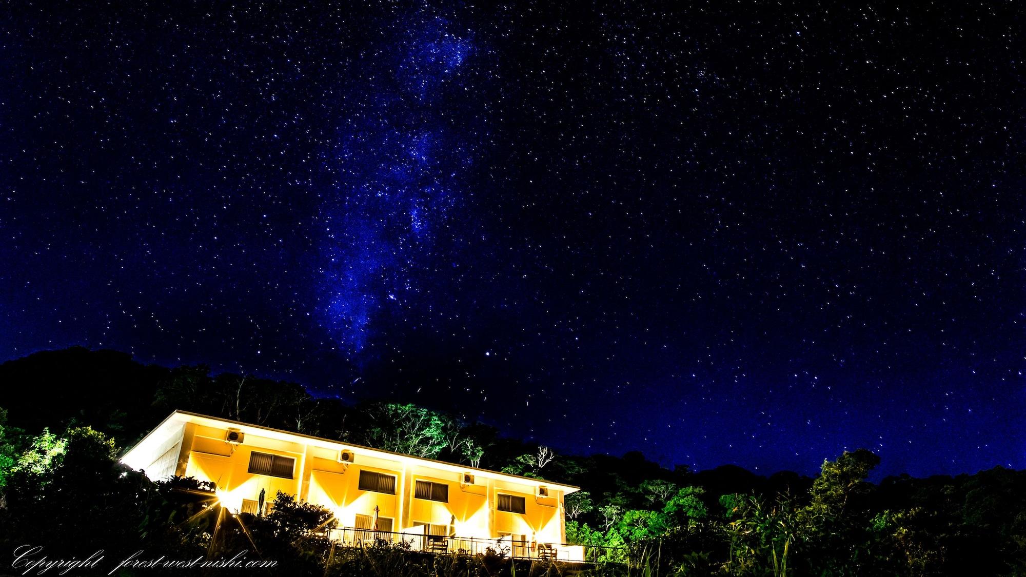 Varios Forest West Nishi