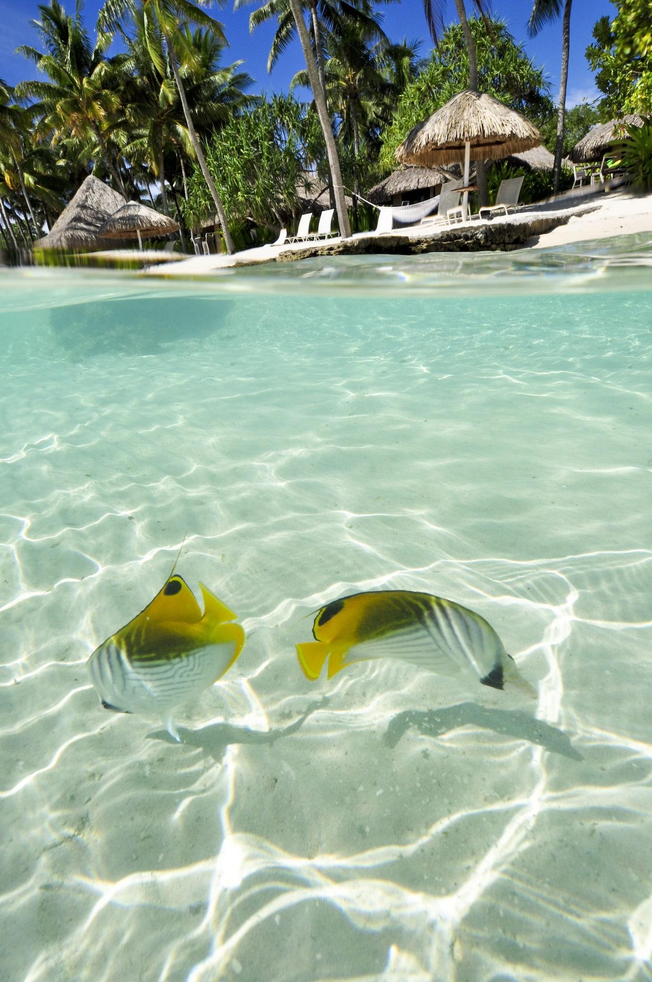 Playa InterContinental Bora Bora Le Moana Resort