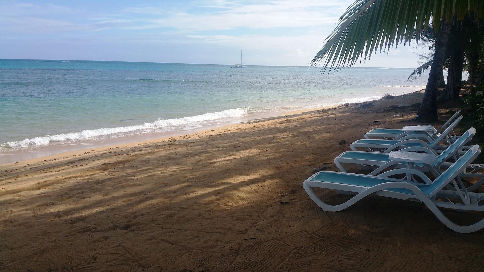 Playa Aligio Aparthotel & Spa