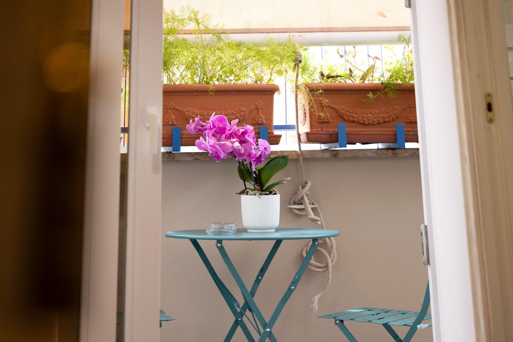 Vista Exterior Roof Garden Zaccardi