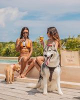 Alojamiento - Kúunáa Tulum All Beer Inclusive
