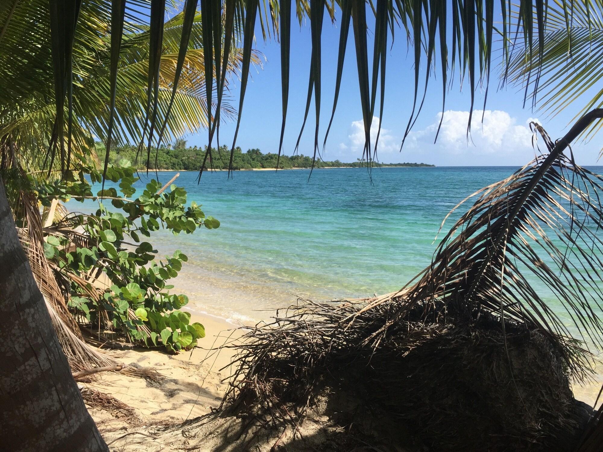 Playa The Vieques Guesthouse