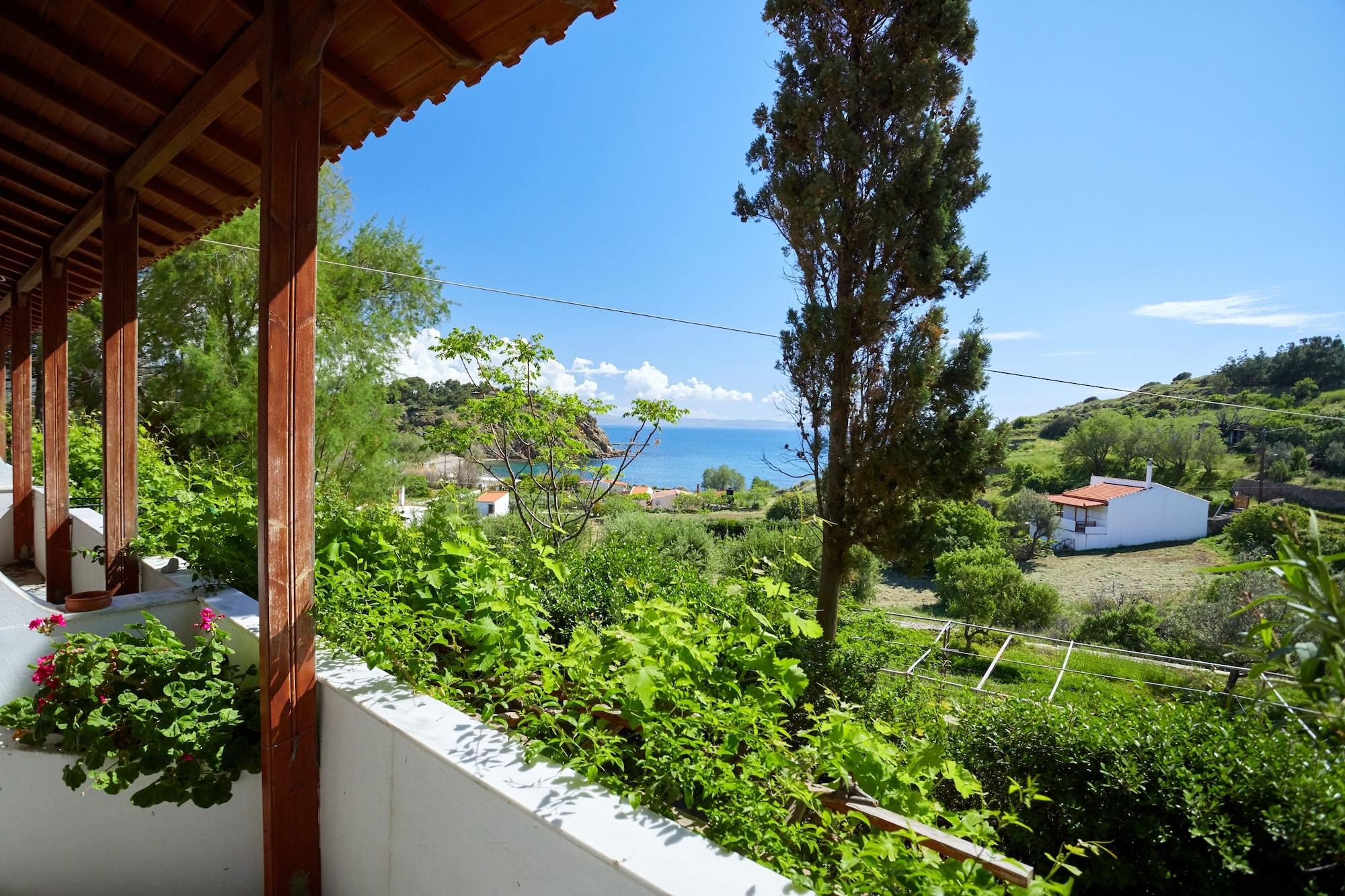 Playa Zorbas Volissos Apartments Chios