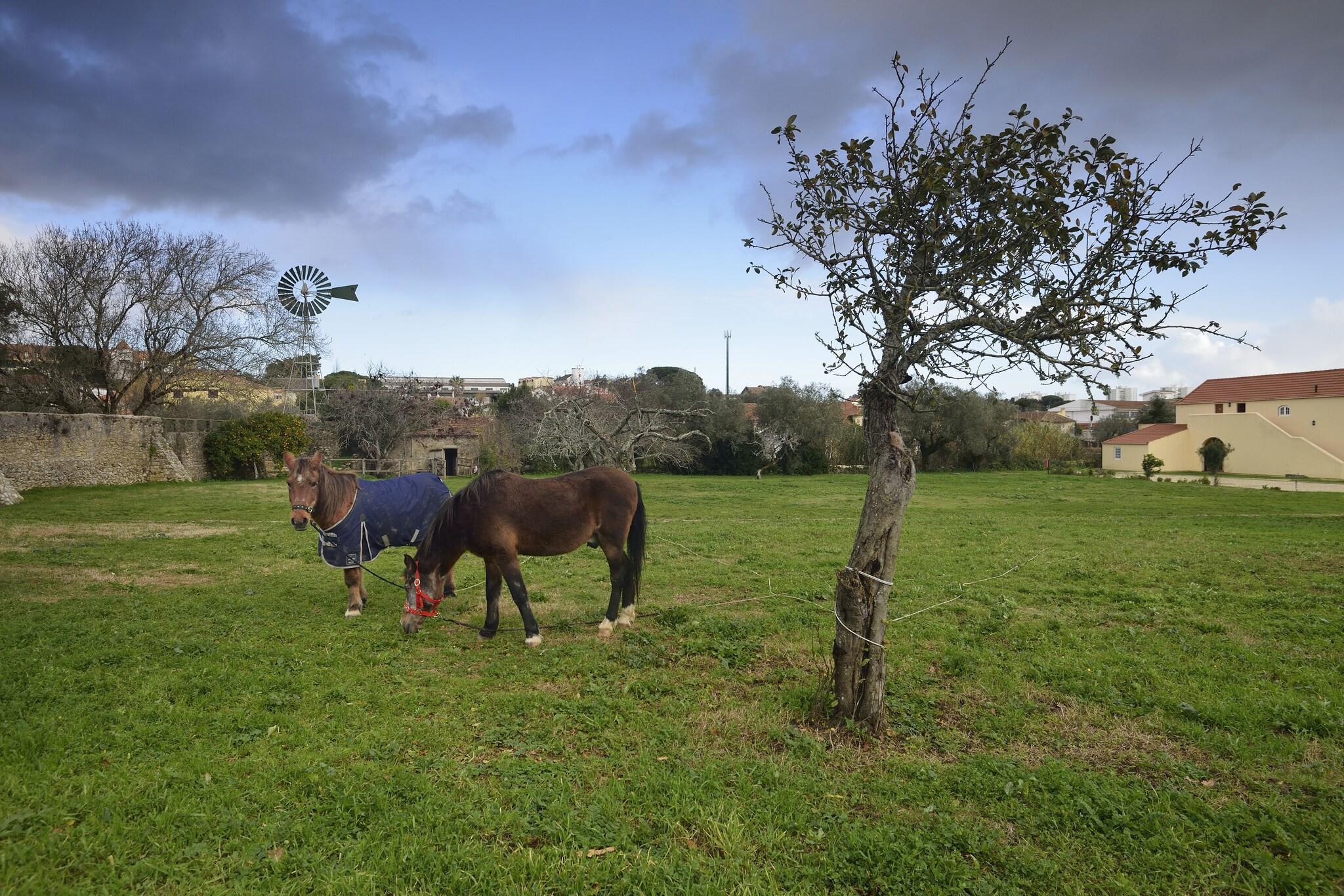 Vista Exterior Quinta do Scoto